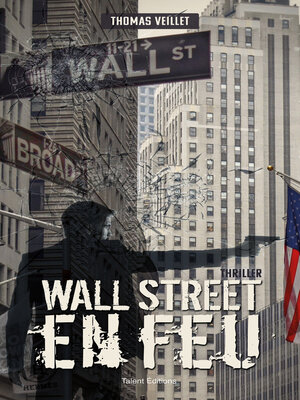 cover image of Wall Street en feu